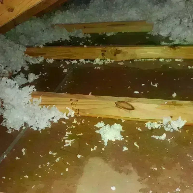 Attic Water Damage in Walkersville, MD