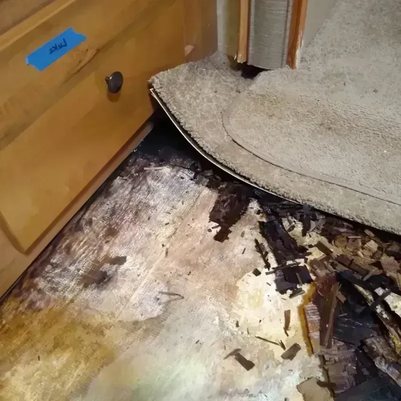 Wood Floor Water Damage in Walkersville, MD